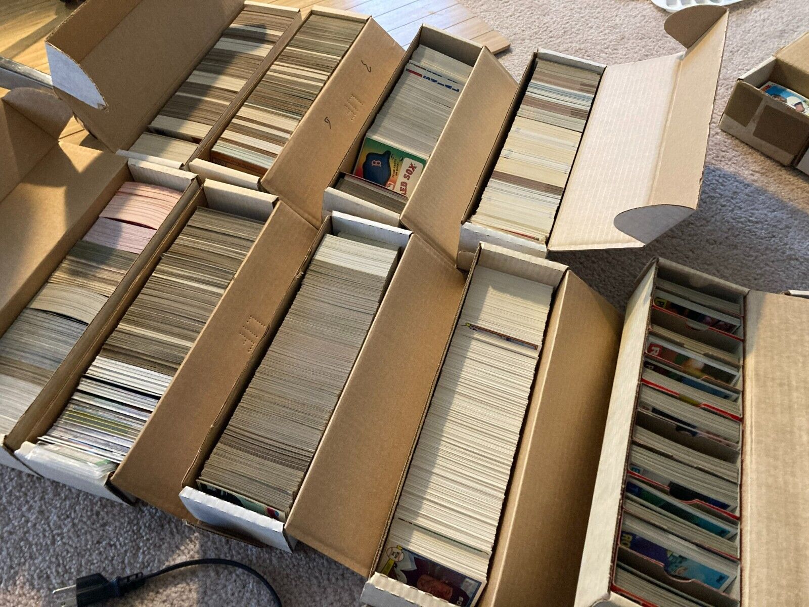 Maximize Your Sports and TCG Cards Collection Value with Otia Sports